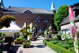 Kientzler Jungpflanzen - Flowertrials at Walbeck Castle