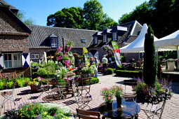 Kientzler Jungpflanzen - Flowertrials at Walbeck Castle