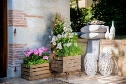 D.H.M.Innovation / breeding company by Lannes - DIAMANTINA GARDEN