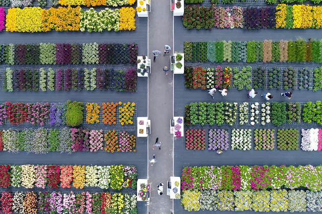 Florensis - Flower Trials&reg; 2018