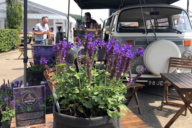 Florensis - Flower Trials&reg; 2018