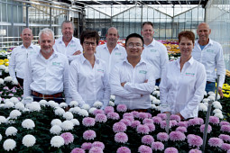 Armada Young Plants B.V. - Team Armada