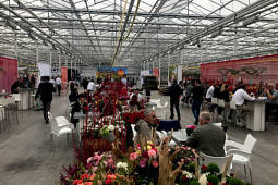 VWS Export - Import of Flowerbulbs - Flowertrials 2019