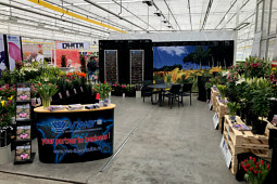 VWS Export - Import of Flowerbulbs - Flowertrials 2019