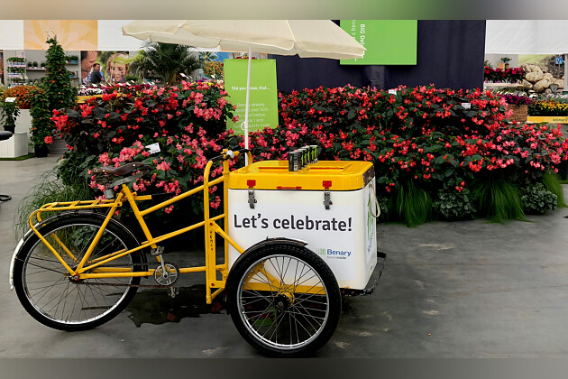 Benary - Benary celebrating 175 years