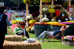 Royal Van Zanten - Take a break in our inspirational festival garden.