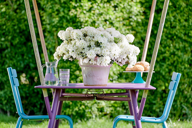 Hortinno by FlorAmor - Evergreen White