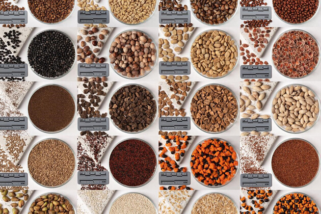 Evanthia - Tropical Seeds