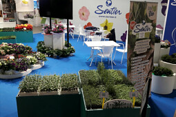Sentier - Sentier stand
