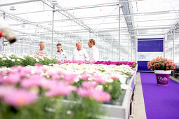 Hendriks Young Plants - Team Hendriks Young Plants