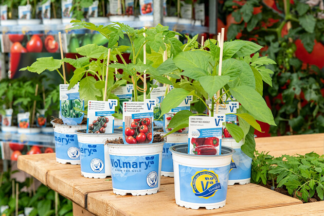 Volmary GmbH - Grafted Originals