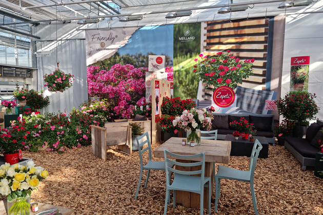 Meilland International - 2022 Flower Trials Meilland booth