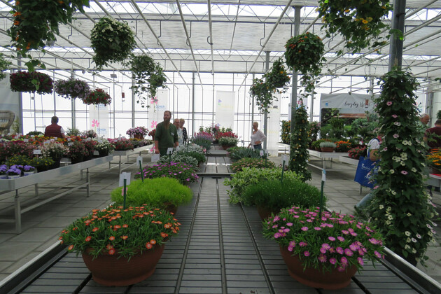Jaldety Plant Propagation Nurseries - From Jaldety