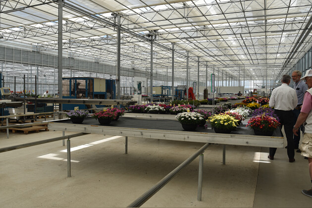 Schneider youngplants - FlowerTrials 2022