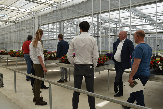 Schneider youngplants - FlowerTrials 2022