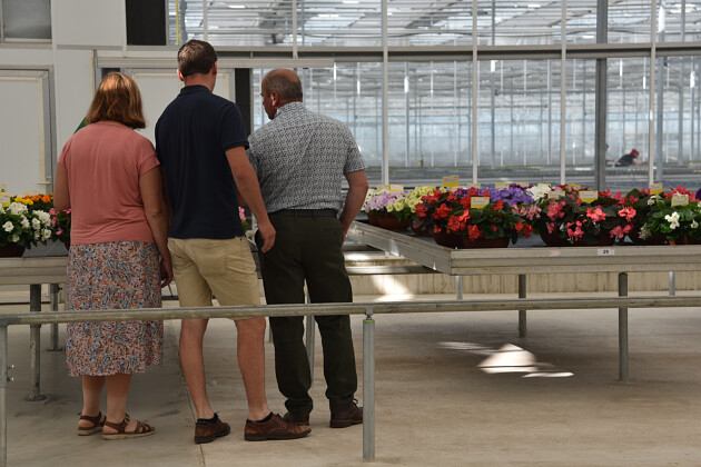 Schneider youngplants - FlowerTrials 2022