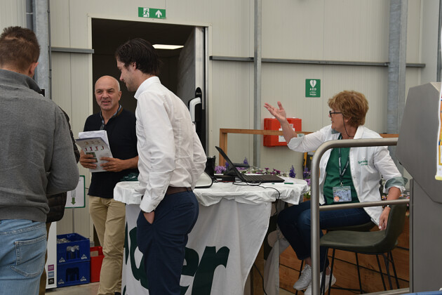 Schneider youngplants - FlowerTrials 2022