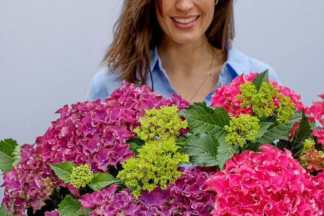 Hoko Breeding - Surfing Safari 