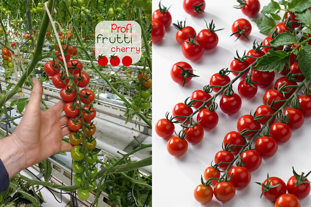 Prudac - Profi-Frutti&trade; Cherry