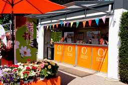 Dümmen Orange