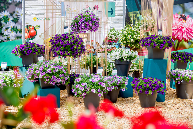 Suntory Flowers Europe