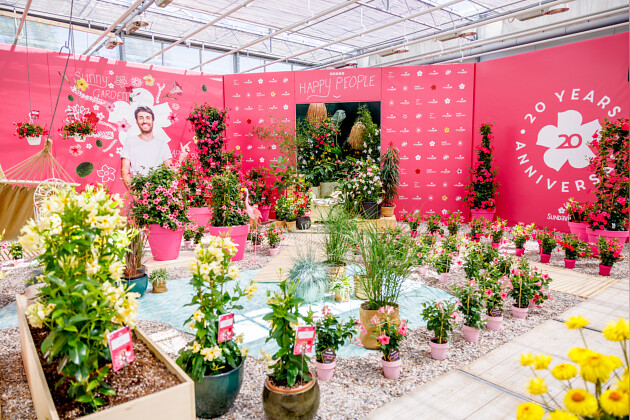Suntory Flowers Europe
