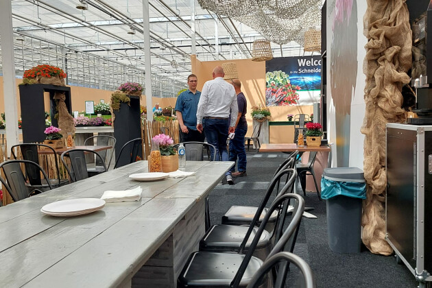 Schneider youngplants