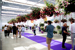 Hendriks Young Plants - Fuchsia hanging baskets