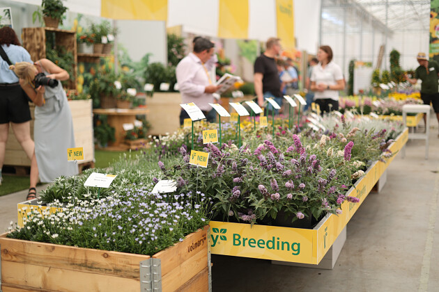 Volmary GmbH - Volmary Show