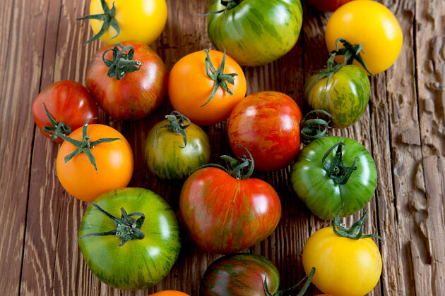 Volmary GmbH - Solanum 'Starlias&reg;' Mix