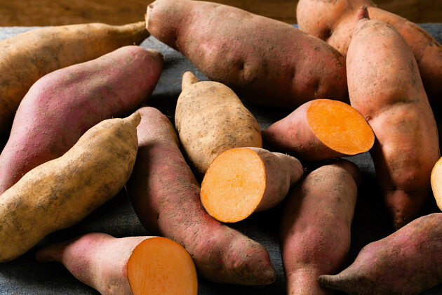 Volmary GmbH - Sweet Potato 'Erato&reg; Vineland' Mix