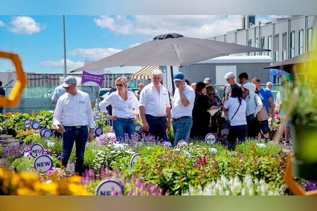 Syngenta Flowers - Showfield