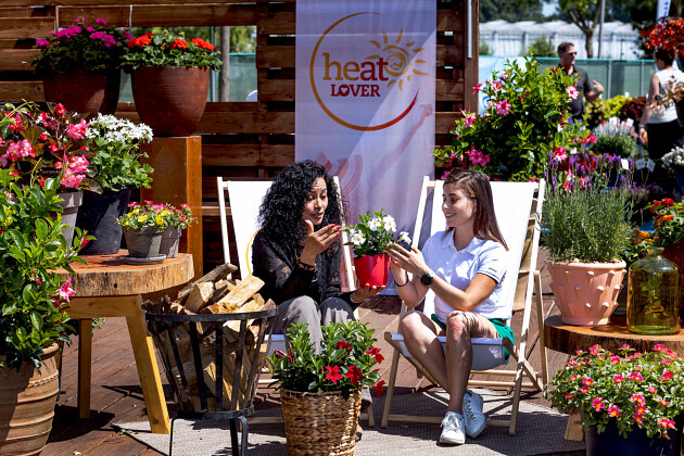 Syngenta Flowers - HeatLover