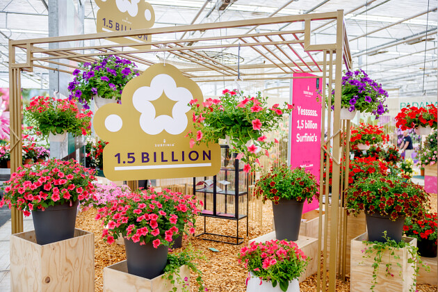 Suntory Flowers Europe