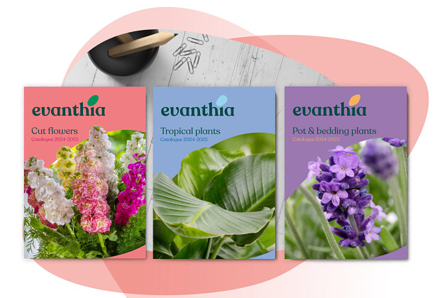 Evanthia - Catalogues 2026