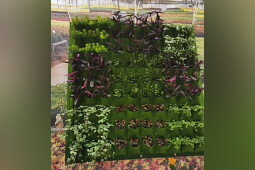 Jaldety Plant Propagation Nurseries - Jaldety Pocket Plants