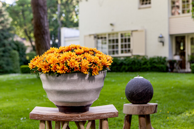 Floritec - Pot Chrysant Heat