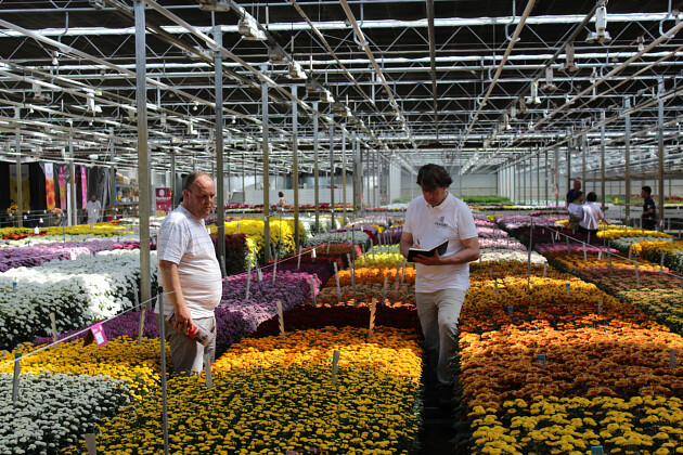 Floritec - Flower Trials