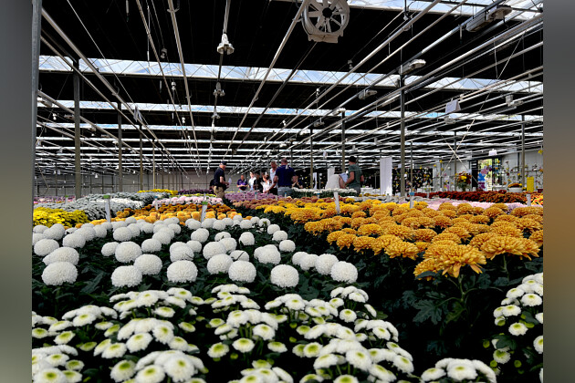 Floritec - Flower Trials 