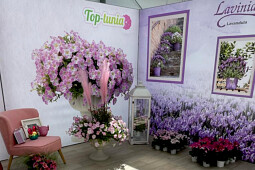 Gruppo PADANA - Flower Trials - Top-Tunia-Lavinia