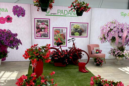 Gruppo PADANA - Flower Trials - Sensy