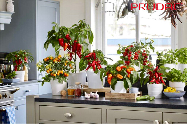 Prudac - Kitchen varieties