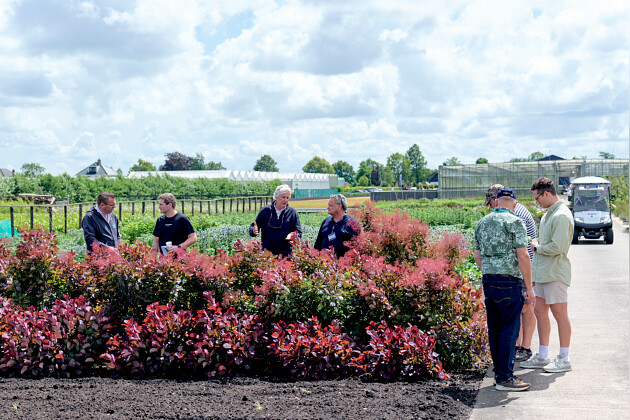 Kolster - See 100s of varieties across our 10 ha breeding & testing farm