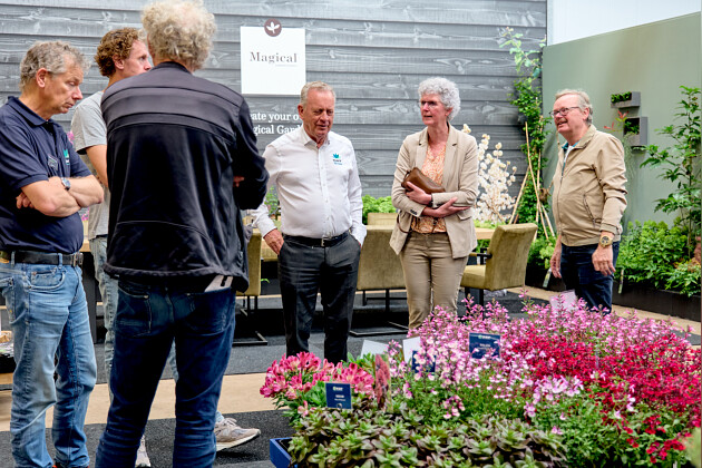 Kolster - Meet our team, discuss the possibilities, get expert advice. 