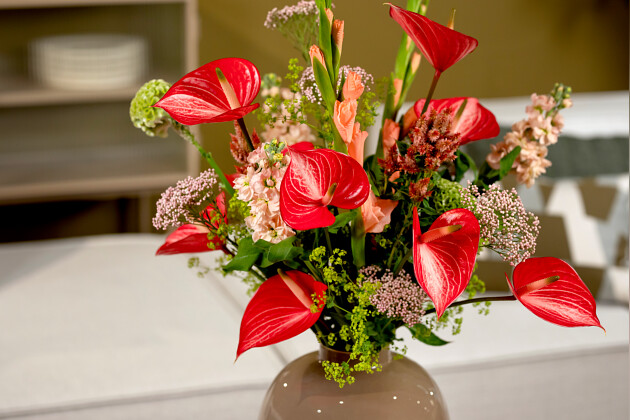 Anthura - Anthurium snijbloem Caldonia