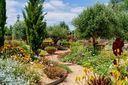Voltz Horticulture - Plantes Economes en Eau : Summer Trials® 2024