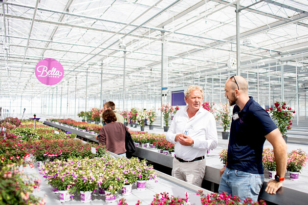 Hendriks Young Plants - Fred Hendriks Young Plants