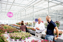 Hendriks Young Plants - Fred Hendriks Young Plants