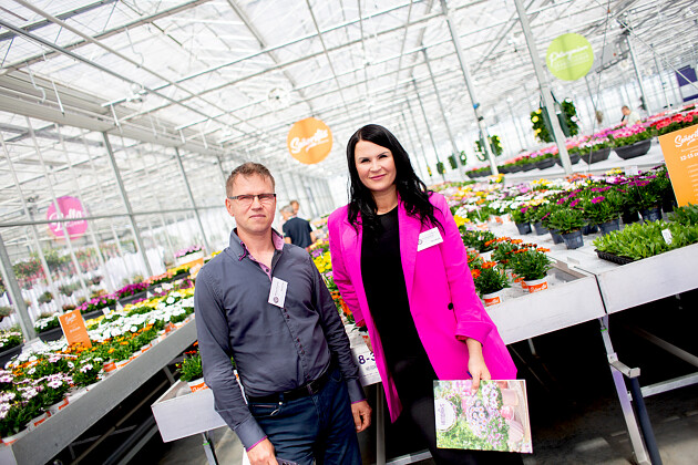 Hendriks Young Plants - Visitors Flower Trials Hendriks