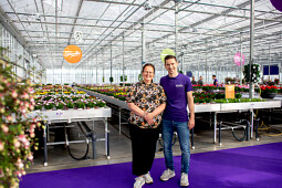 Hendriks Young Plants - Team Hendriks Young Plants